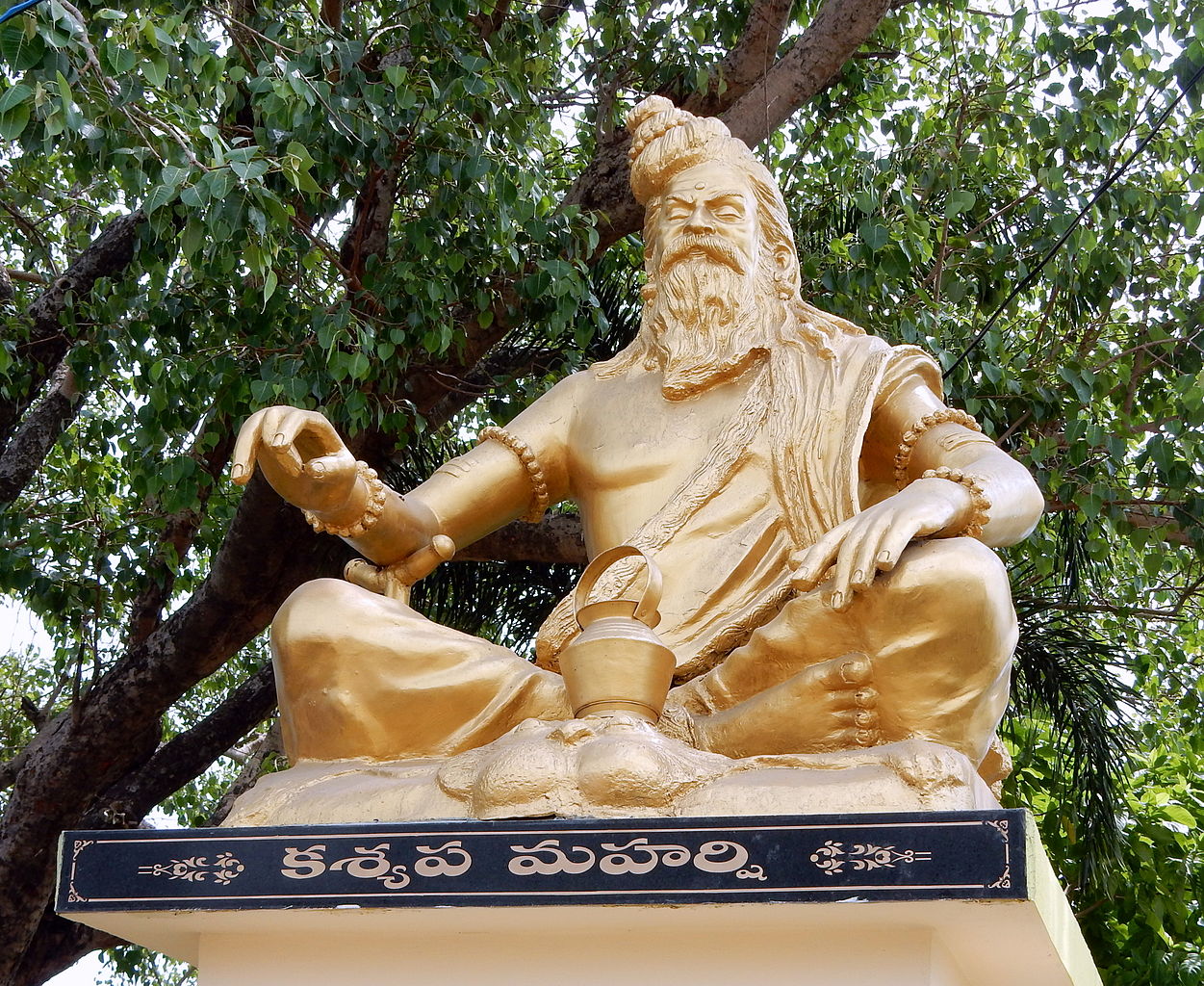 Kashyapa Father of Vishnu Rudra Paediatrics Kashmir An Overview
