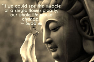 Buddha Quote.image