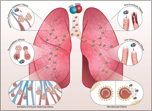 Bhramari Pranayama Kills Covid Virus Scientific Paper.How To Do Bhramari Pranayama