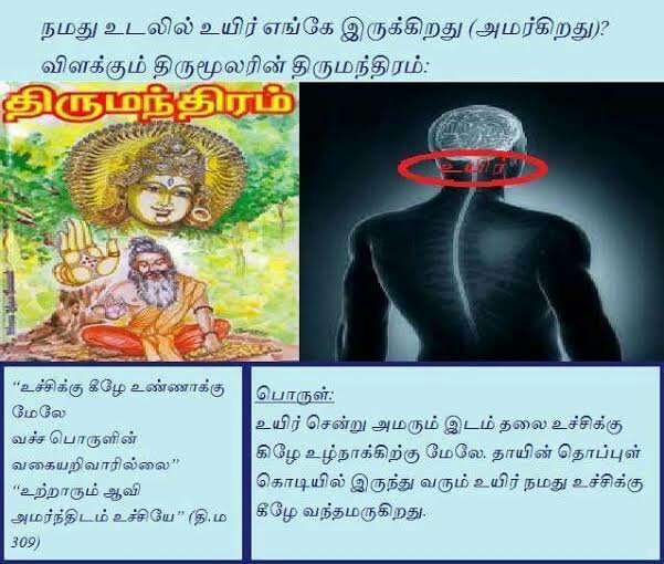 Thirumandhiram verse 309 and meaning.image