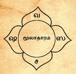 Ganesa Devi in Mooladhara Siddhas Explain
