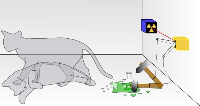 Schrödinger's cat .image